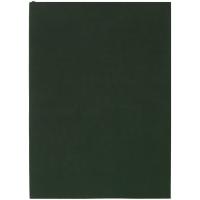 Ежедневник Flat Light, недатированный, зеленый