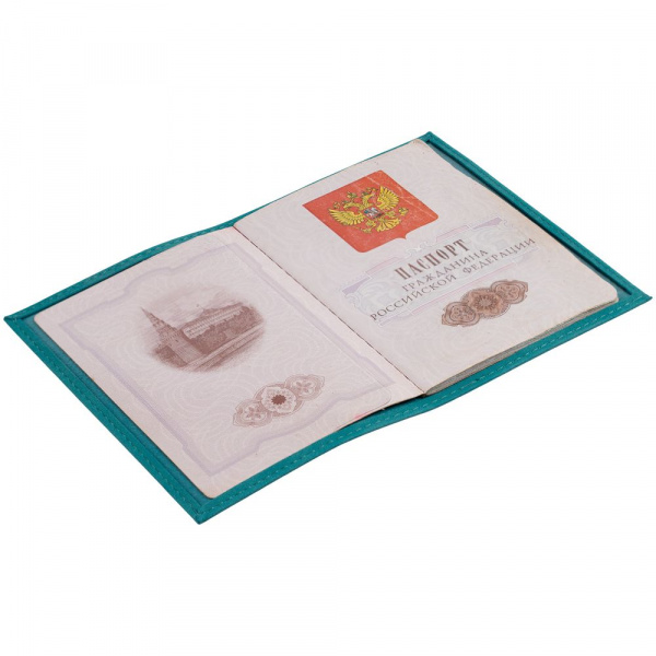 Миниатюра WWW (1000)