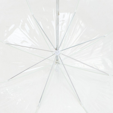 Миниатюра WWW (1000)