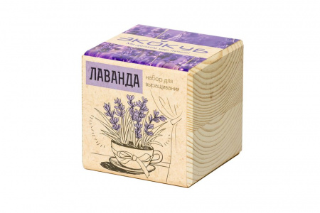 Миниатюра WWW (1000)