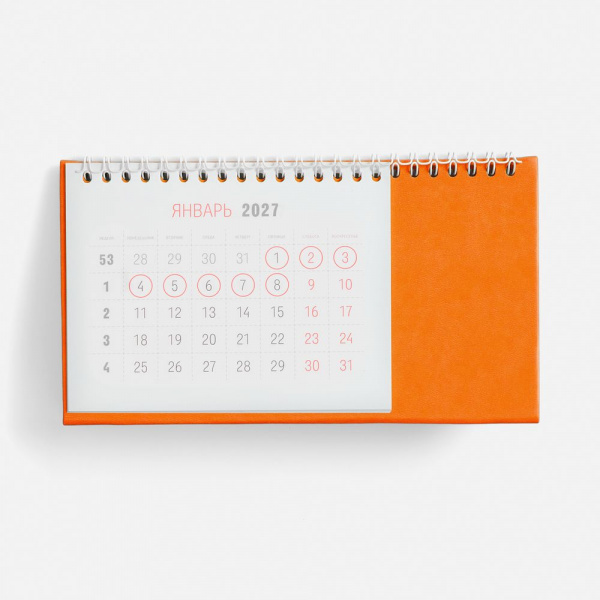 Миниатюра WWW (1000)