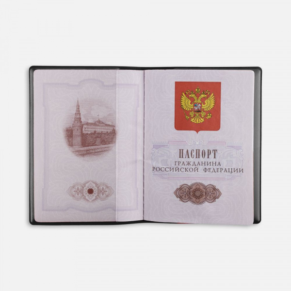 Миниатюра WWW (1000)