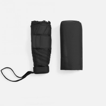 Миниатюра WWW (1000)