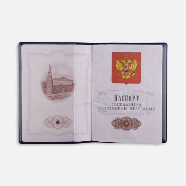 Миниатюра WWW (1000)