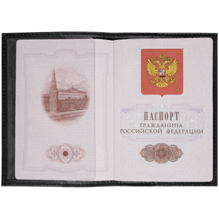 Миниатюра WWW (1000)
