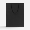 Миниатюра WWW (1000)